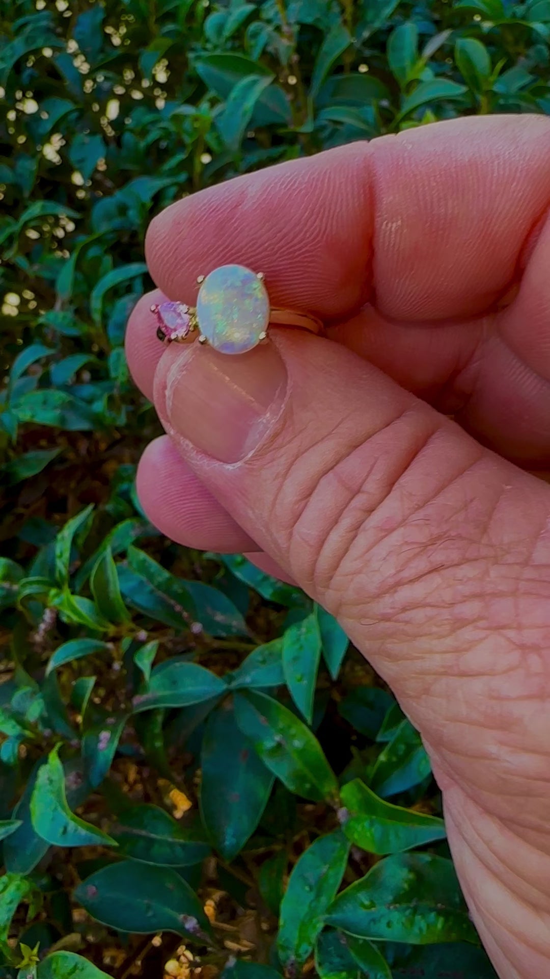 Discover our stunning 14k Gold Australian Crystal Opal Ring, sourced from Lightning Ridge, Australia. Experience its enchanting play-of-color.

Origin- Lightning Ridge Australia.

Opal Weight- 1ct Australian Crystal Opal

Setting- 14k Gold Claw Setting

Accent Stone- Pink Sapphire

Ring Size- 6 1/2us 

Handcrafted and designed by Australian Artisans