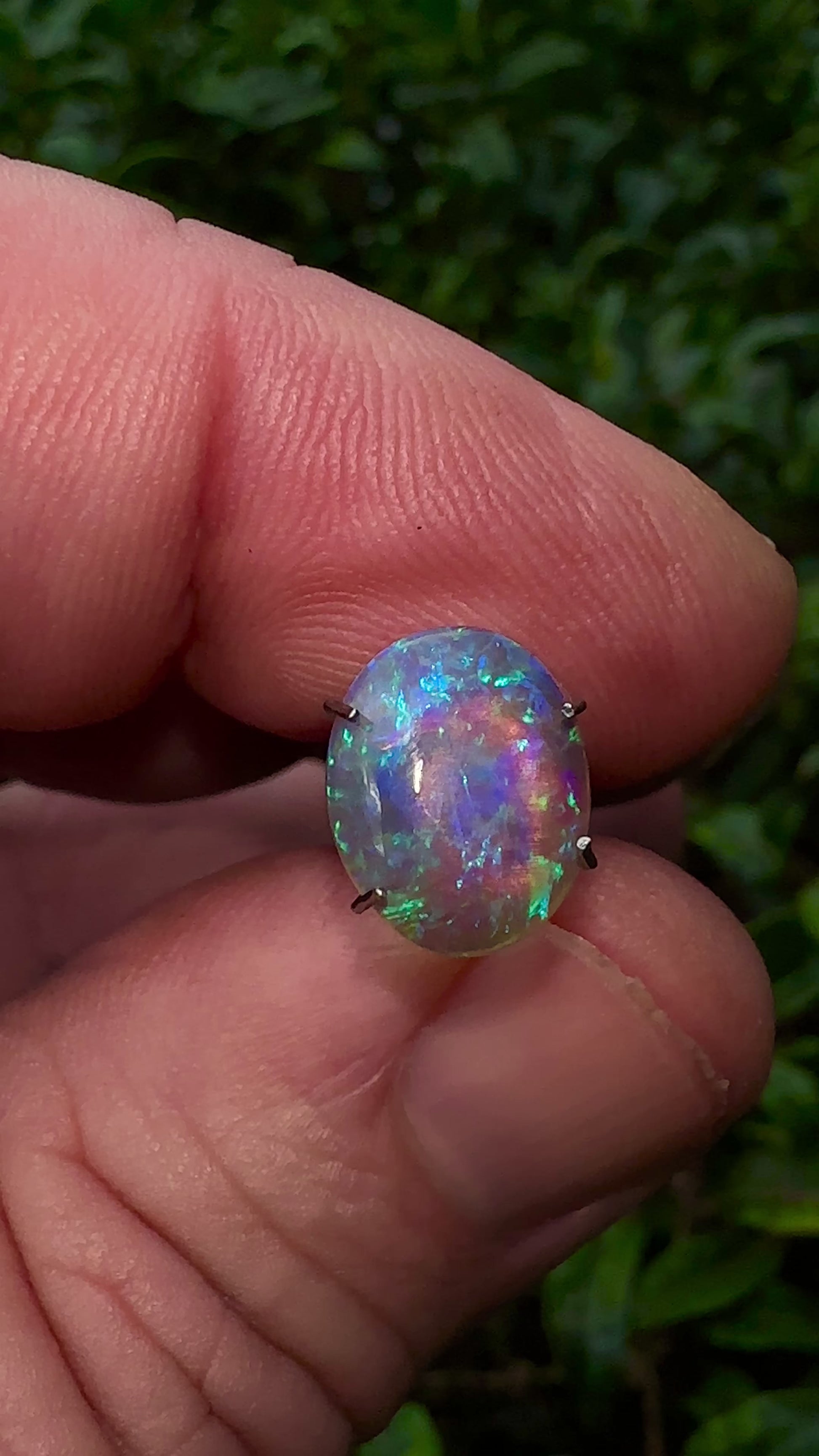 Lightning Ridge Crystal Opal – a mesmerizing gem that exudes an enchanting blend of bold blues, this opulent beauty showcases the splendor of nature.

Origin- Ethically mined in Lightning Ridge Australia

Weight- 1.7ct

Size- 11 x 9mm
